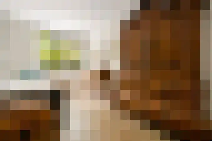 Matenesse-hof 24 Amsterdam thumbnail 21
