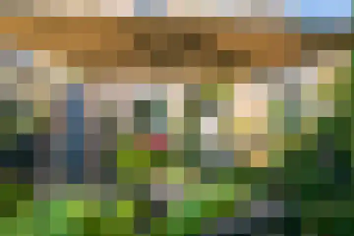 Matenesse-hof 24 Amsterdam thumbnail 28
