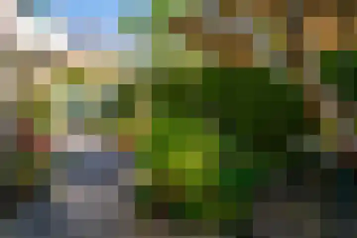 Matenesse-hof 24 Amsterdam thumbnail 29