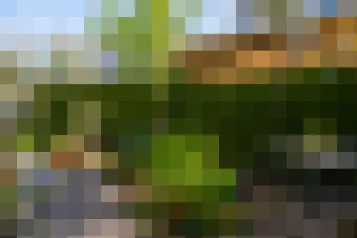 Matenesse-hof 24 Amsterdam thumbnail 30