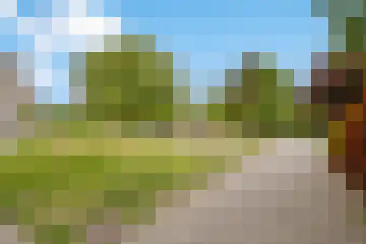 Matenesse-hof 24 Amsterdam thumbnail 34