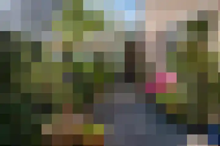 Matenesse-hof 24 Amsterdam thumbnail 35