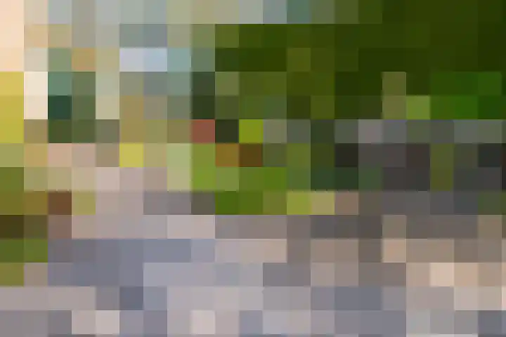 Matenesse-hof 24 Amsterdam thumbnail 36