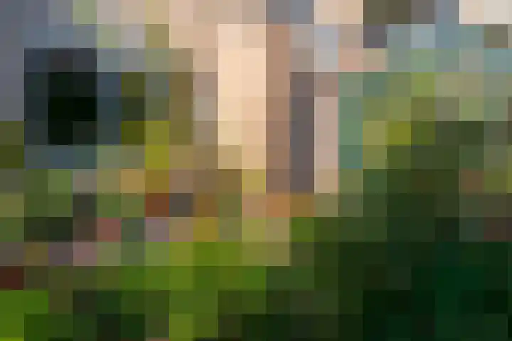 Matenesse-hof 24 Amsterdam thumbnail 37