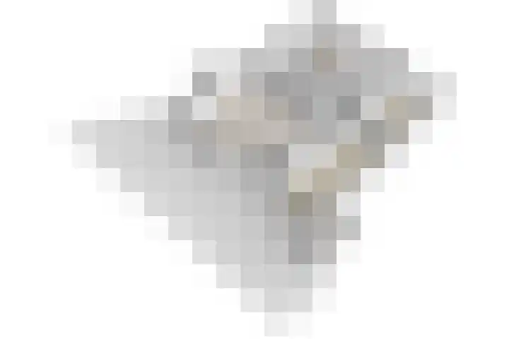 Matenesse-hof 24 Amsterdam thumbnail 43