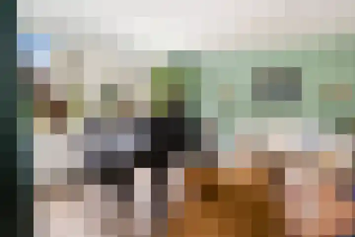 Matenesse-hof 24 Amsterdam thumbnail 5