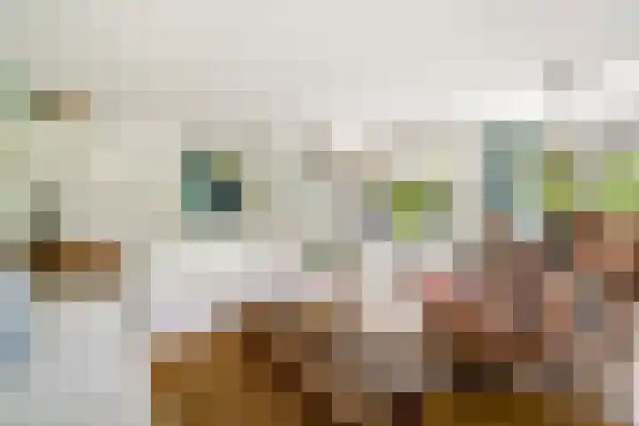 Matenesse-hof 24 Amsterdam thumbnail 6