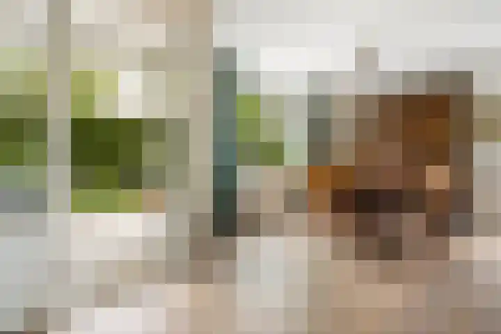 Matenesse-hof 24 Amsterdam thumbnail 8