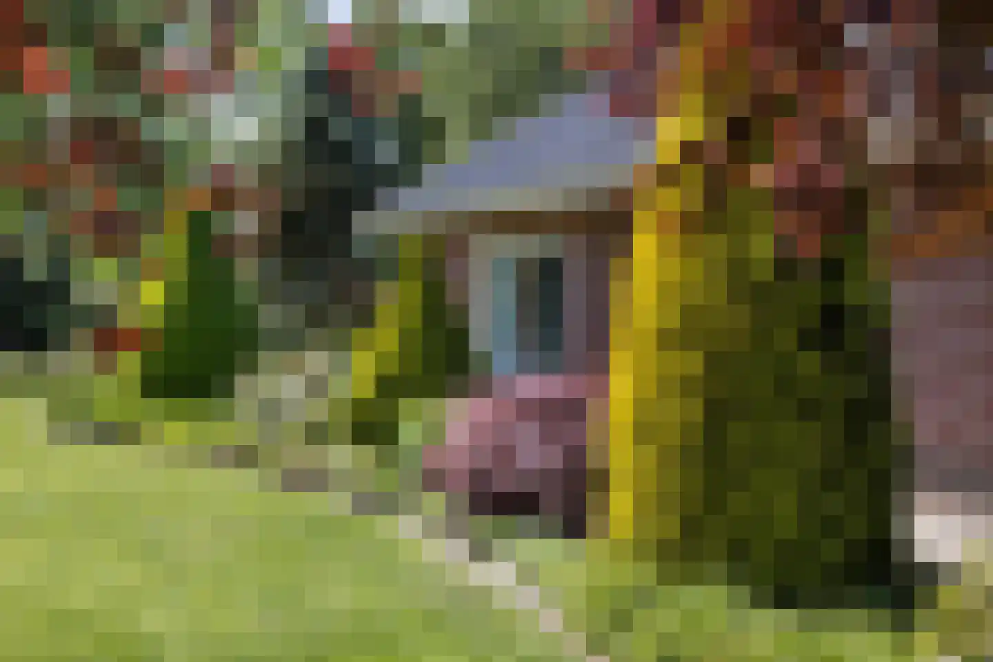 Matenweg 1 Wekerom thumbnail 50