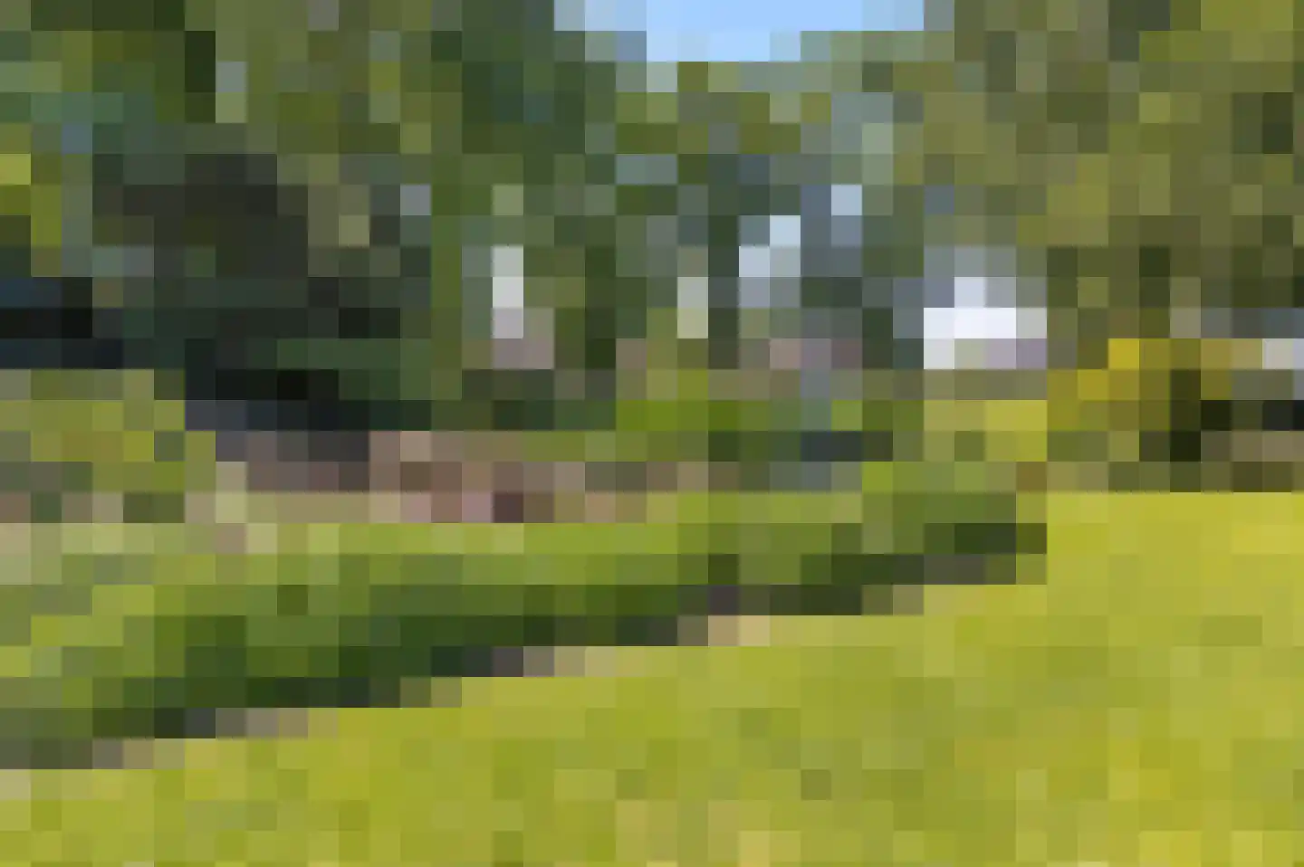 Matenweg 1 Wekerom thumbnail 54