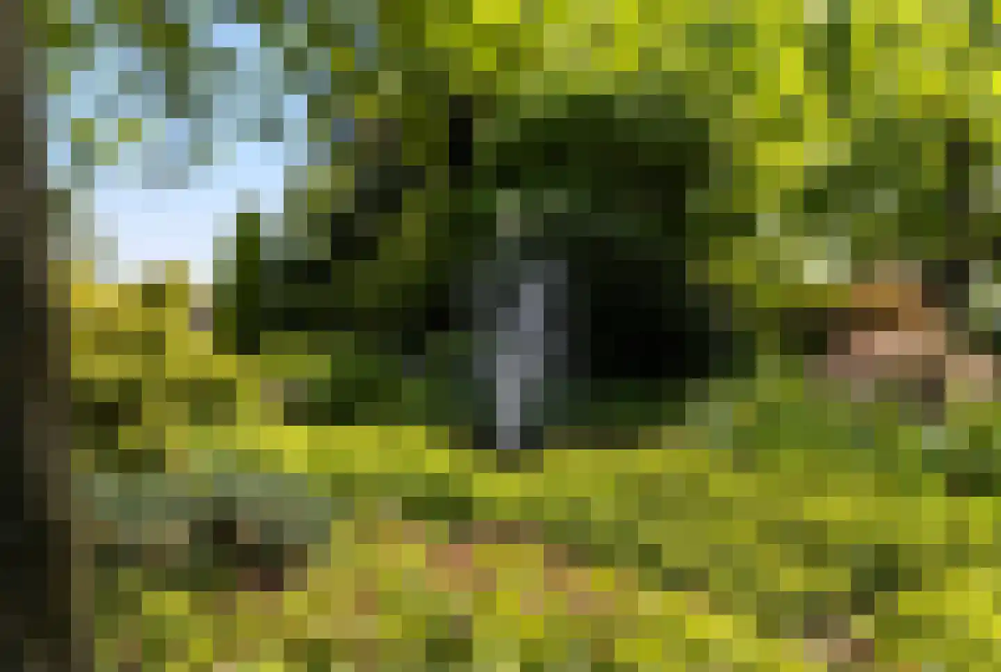 Matenweg 1 Wekerom thumbnail 61