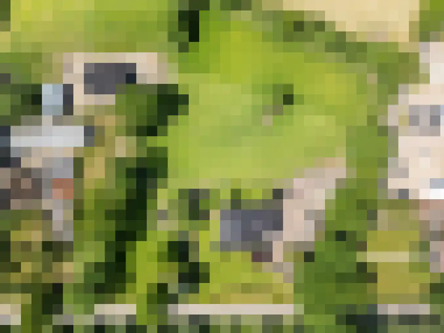 Matenweg 1 Wekerom thumbnail 64