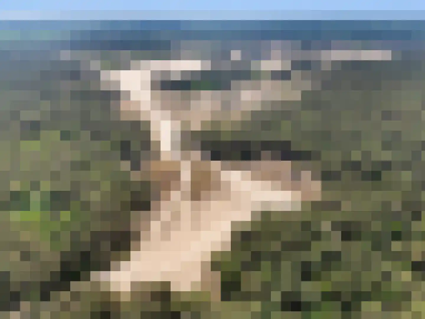 Matenweg 1 Wekerom thumbnail 65