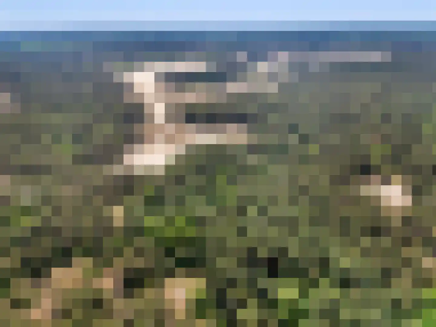 Matenweg 1 Wekerom thumbnail 66