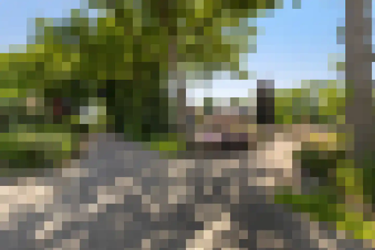 Matenweg 1 Wekerom thumbnail 68