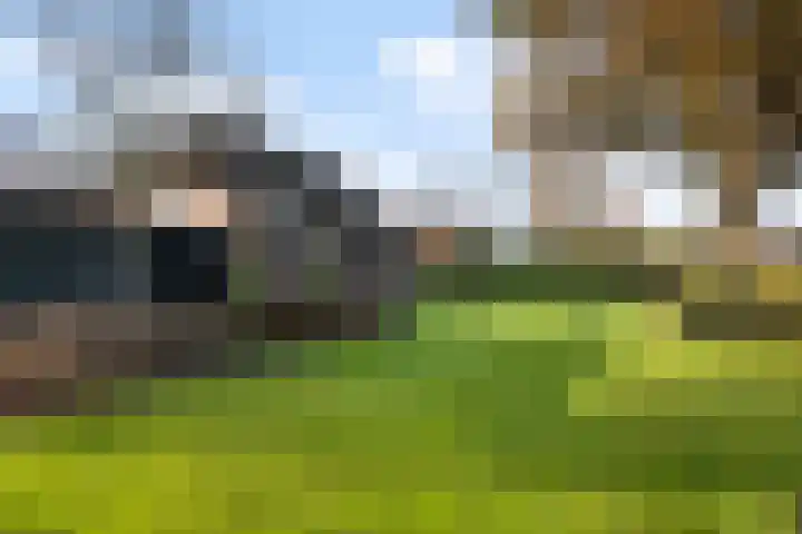 Matenweg 5 Wekerom thumbnail 33
