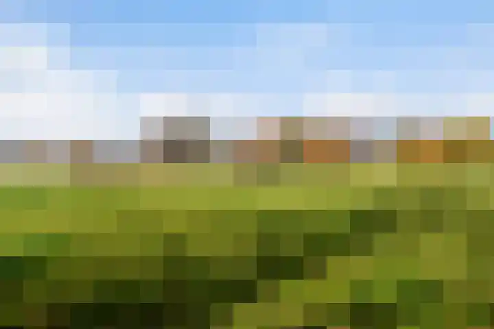 Matenweg 7 Wekerom thumbnail 35