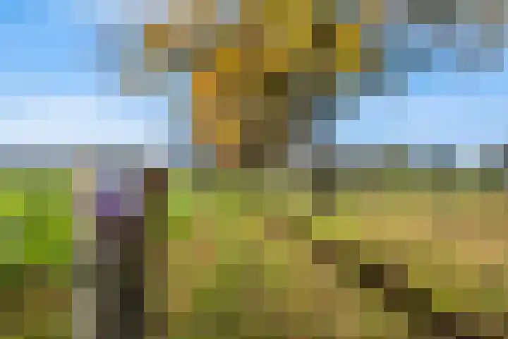 Matenweg 7 Wekerom thumbnail 38