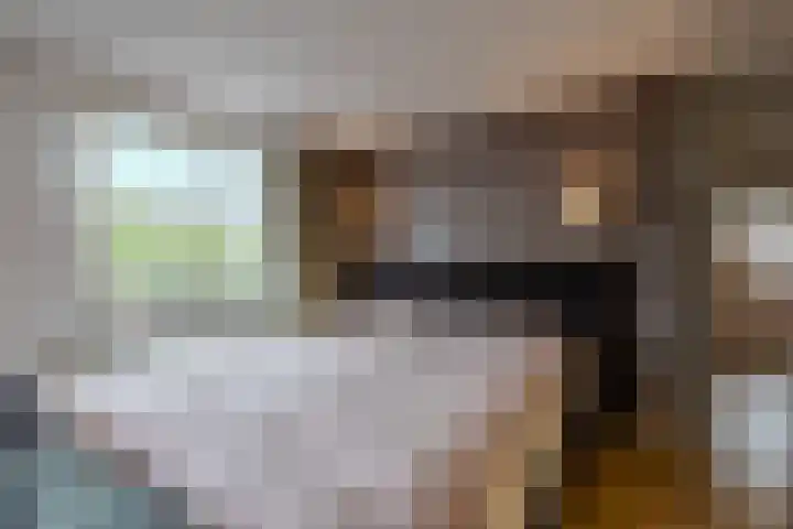 Maternusstraat 14 Diessen thumbnail 21