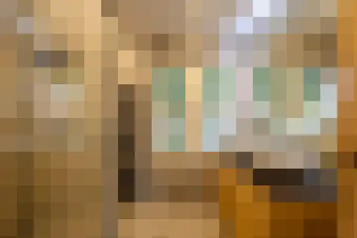 Maternusstraat 14 Diessen thumbnail 29