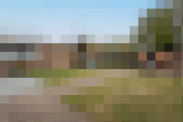 Maternusstraat 14 Diessen thumbnail 36