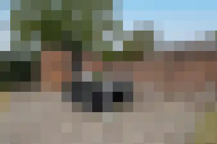 Maternusstraat 14 Diessen thumbnail 38