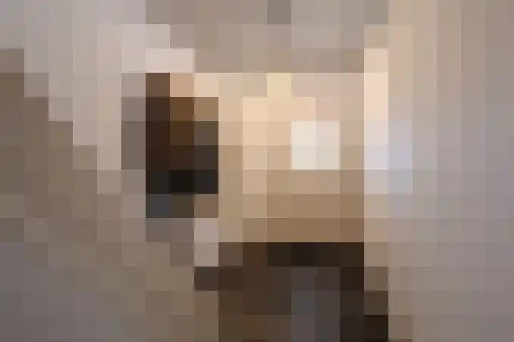 Maternusstraat 14 Diessen thumbnail 8
