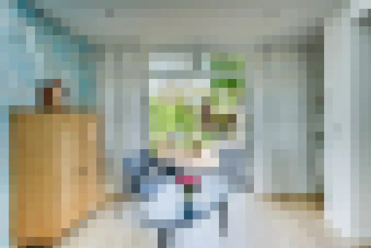 Maternusstraat 3 Diessen thumbnail 26