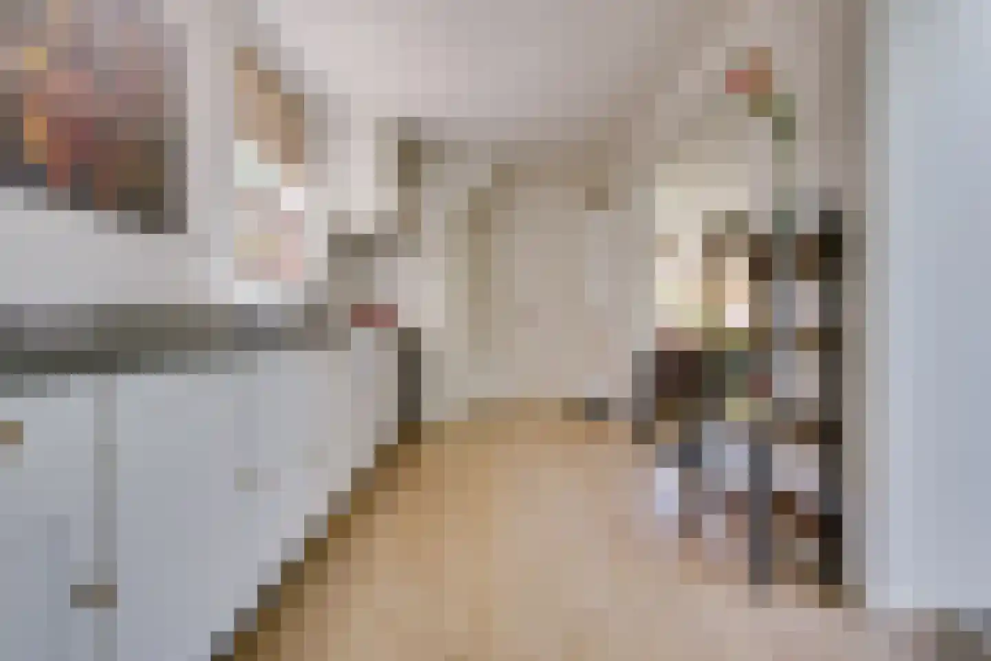Maternusstraat 3 Diessen thumbnail 33