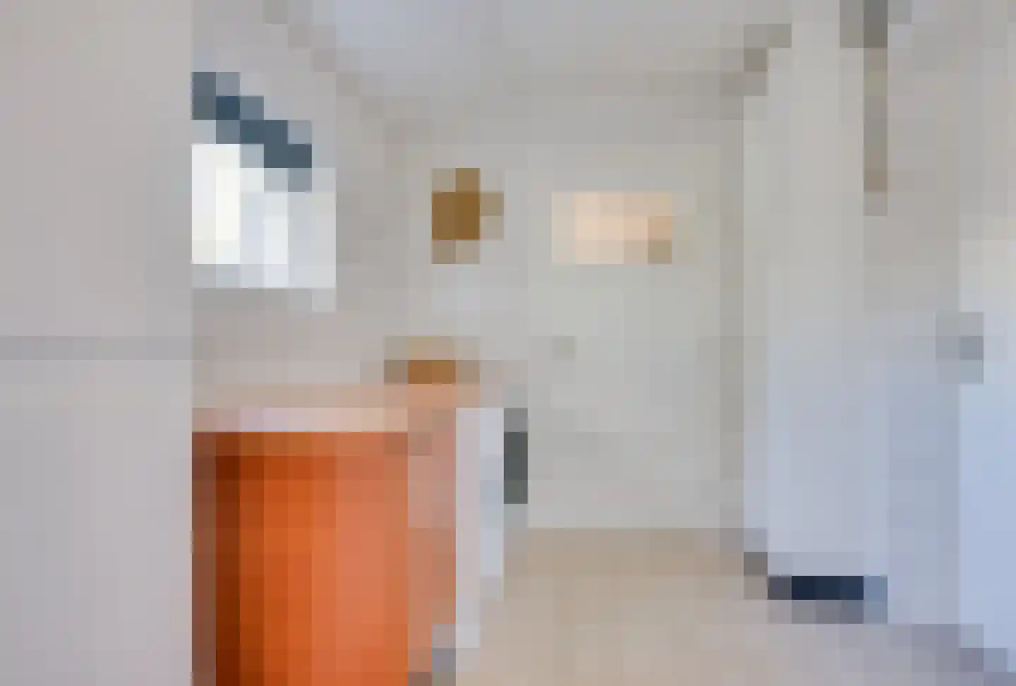Maternusstraat 3 Diessen thumbnail 39