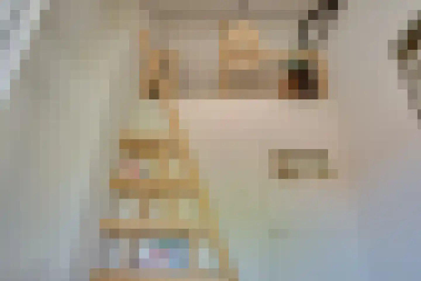 Maternusstraat 3 Diessen thumbnail 52