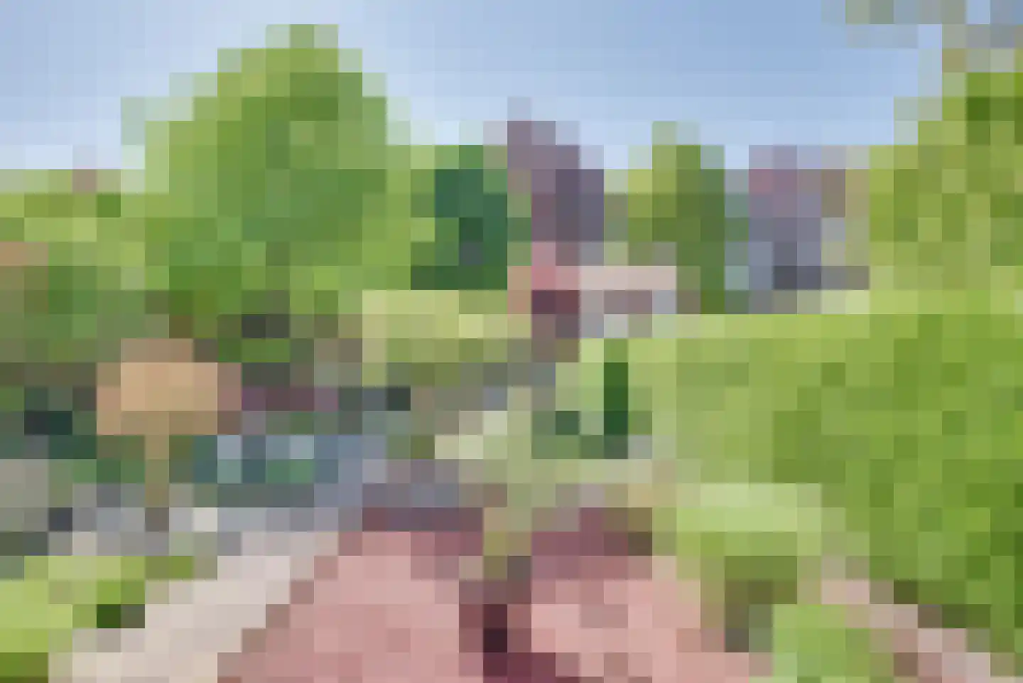 Maternusstraat 3 Diessen thumbnail 58