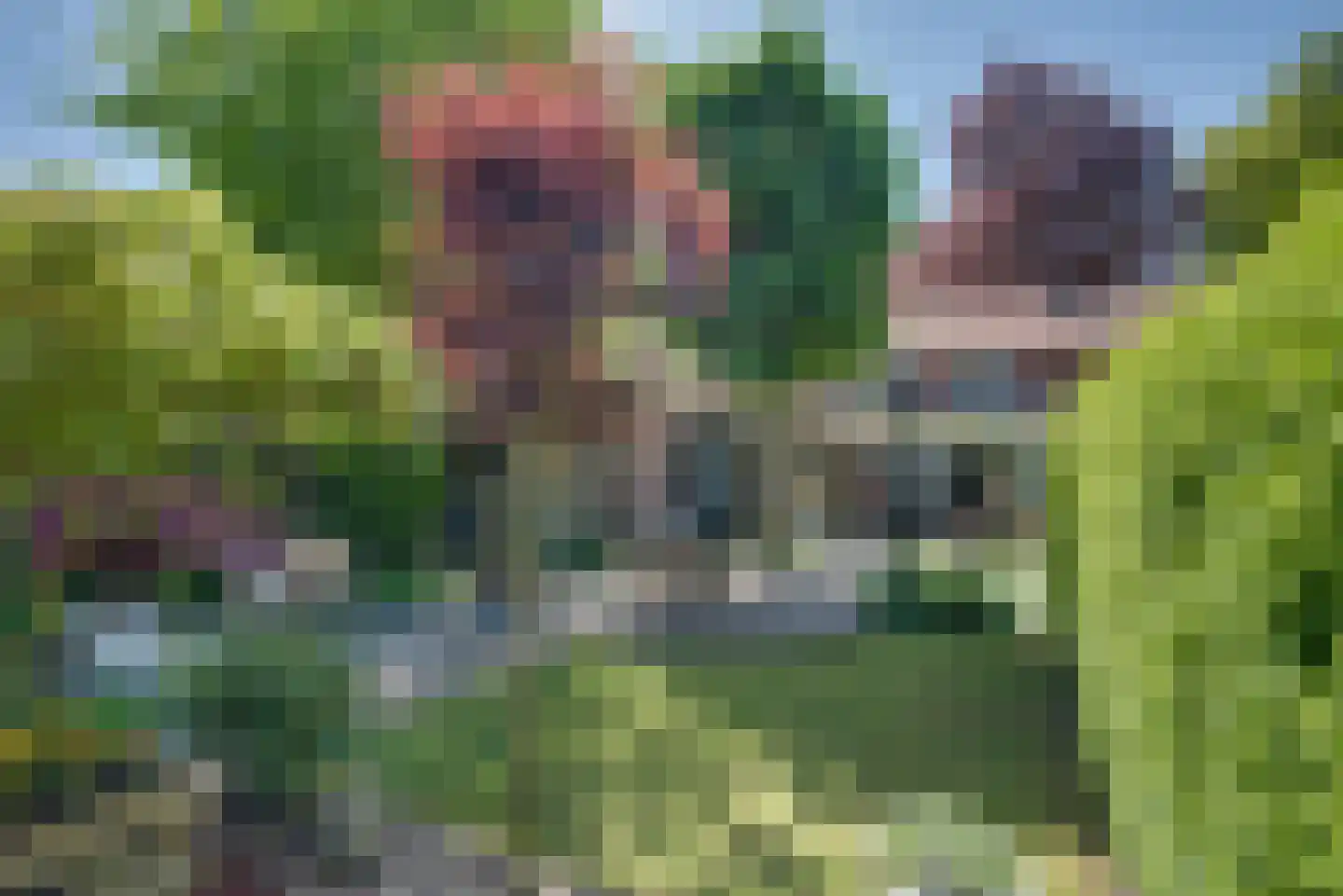 Maternusstraat 3 Diessen thumbnail 59