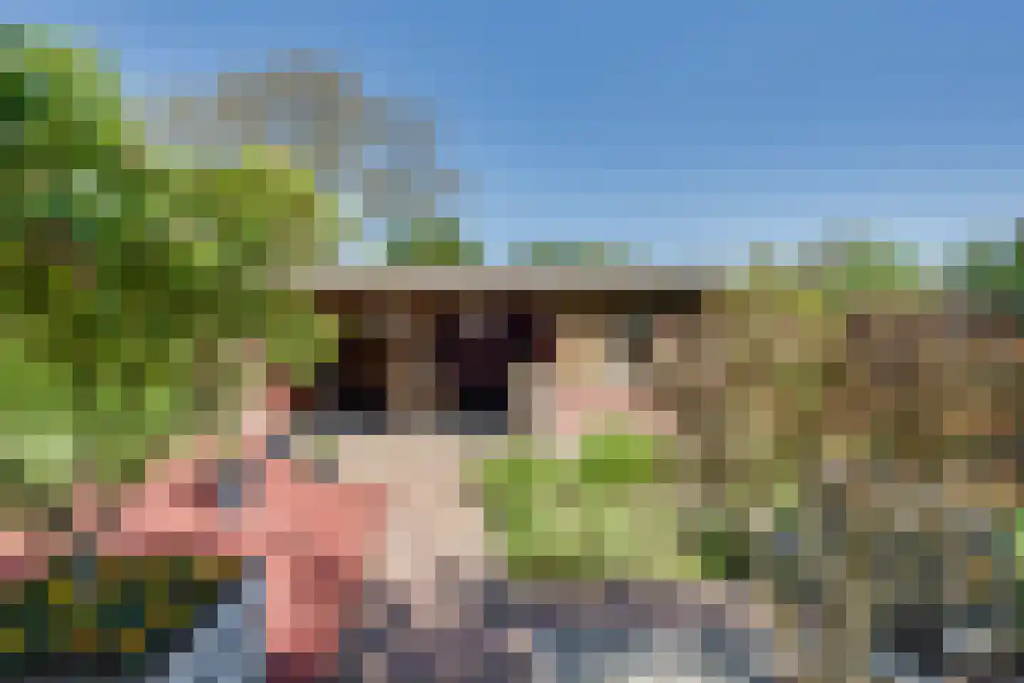 Maternusstraat 3 Diessen thumbnail 68