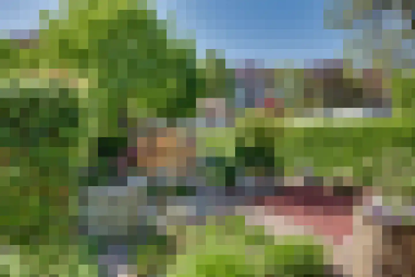 Maternusstraat 3 Diessen thumbnail 72