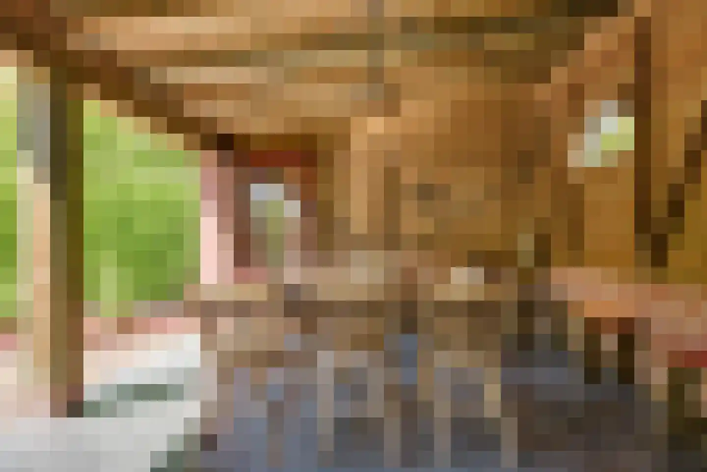 Maternusstraat 3 Diessen thumbnail 75