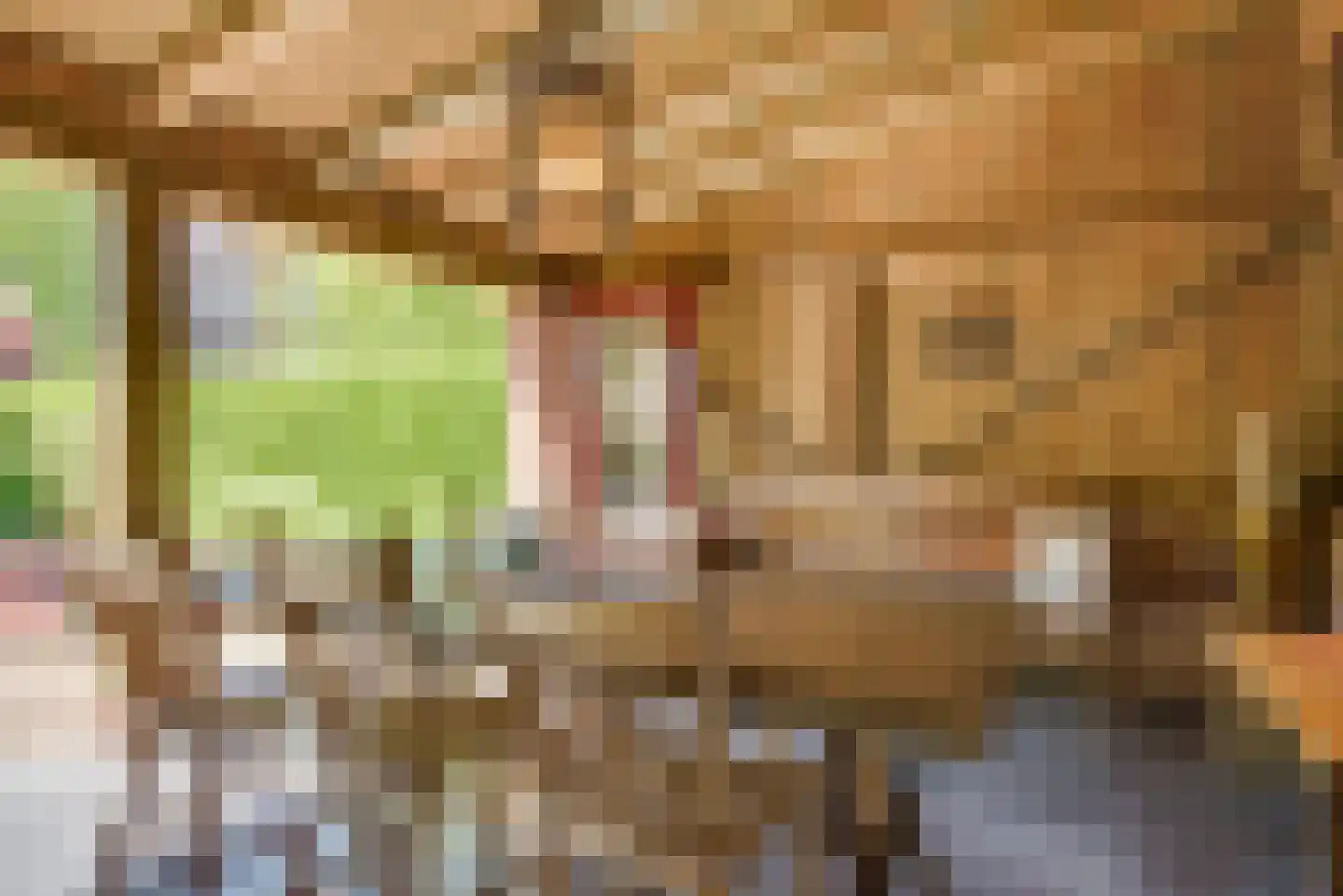 Maternusstraat 3 Diessen thumbnail 77