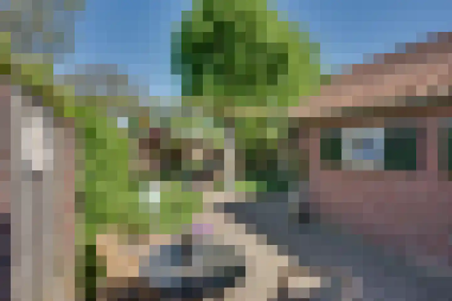 Maternusstraat 3 Diessen thumbnail 81
