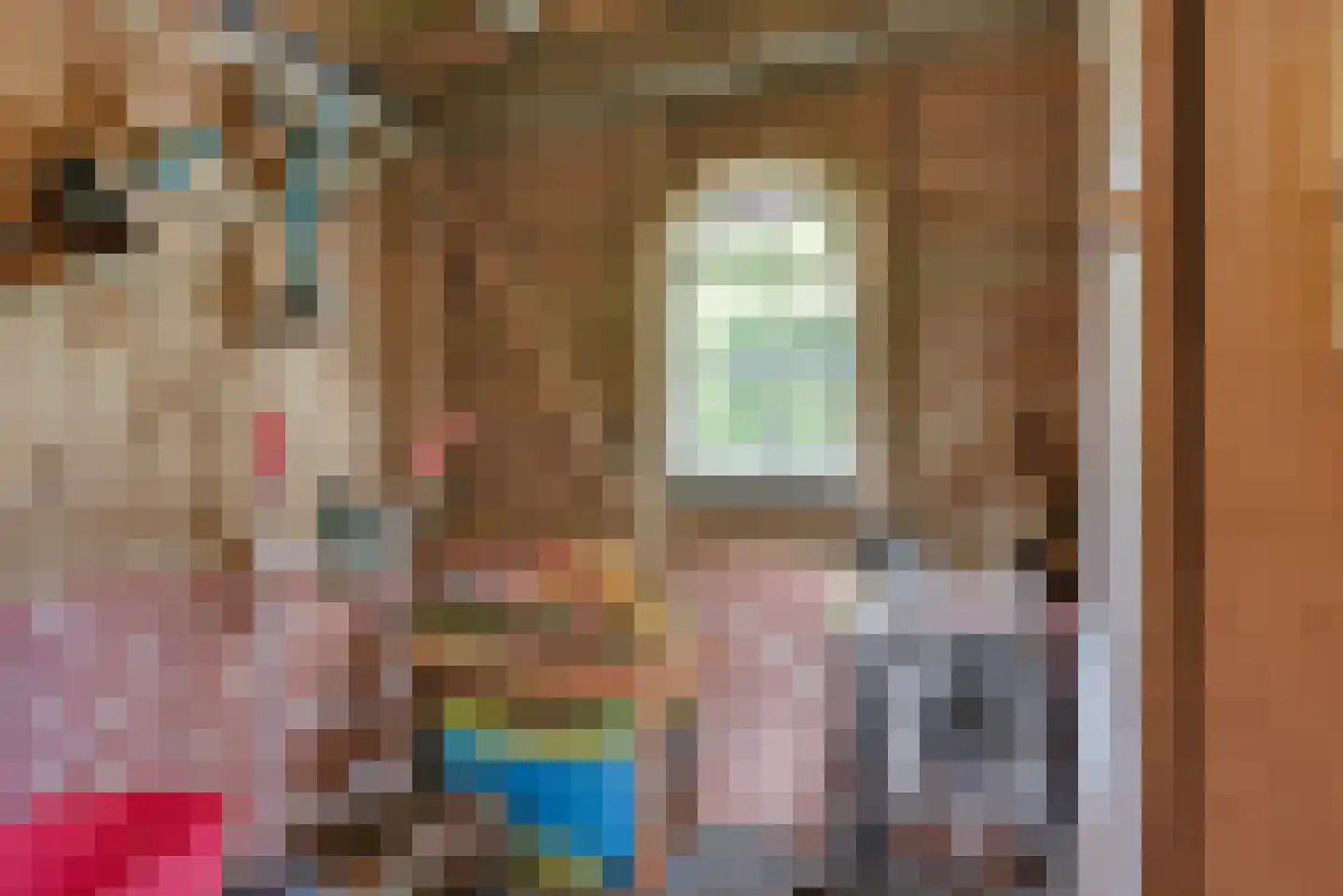 Maternusstraat 3 Diessen thumbnail 85