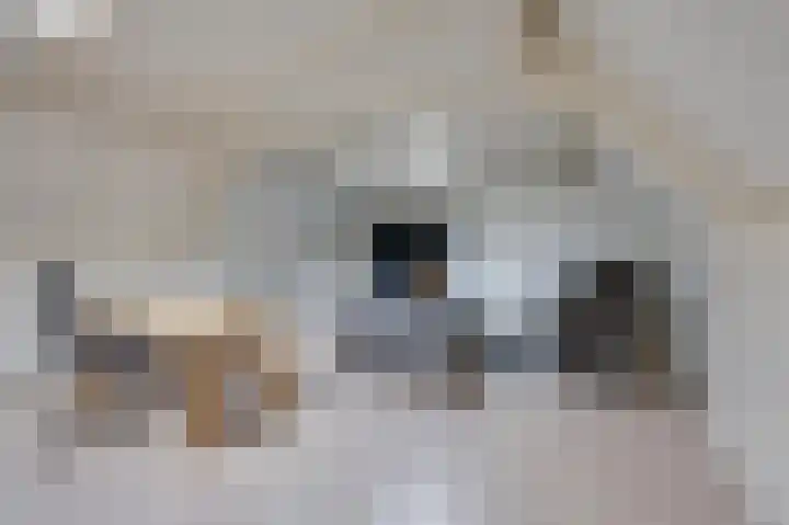 Mathaak 6 Didam thumbnail 65