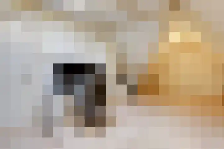 Mathaak 6 Didam thumbnail 73
