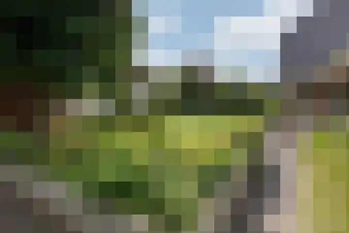 Mathaak 6 Didam thumbnail 80