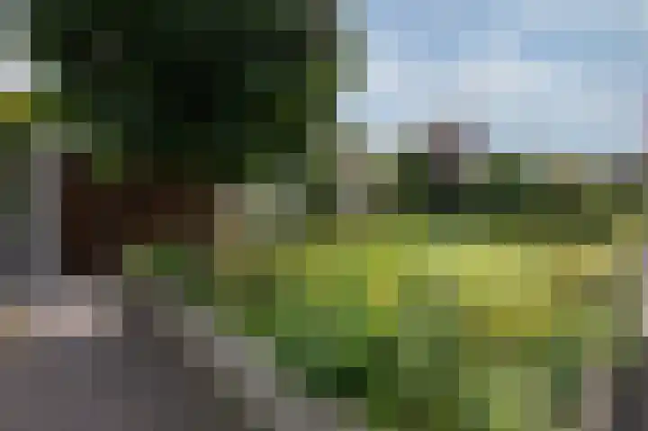 Mathaak 6 Didam thumbnail 81
