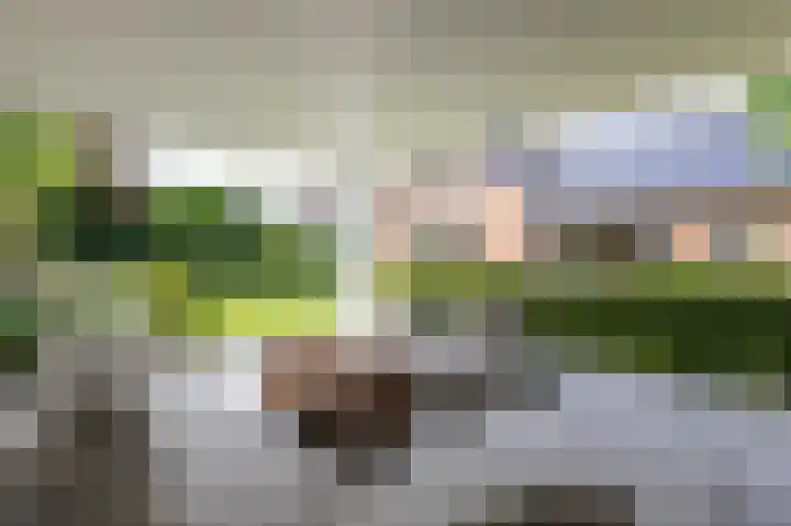 Mathaak 6 Didam thumbnail 87