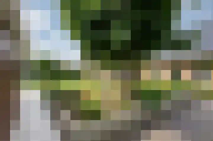 Mathaak 6 Didam thumbnail 89