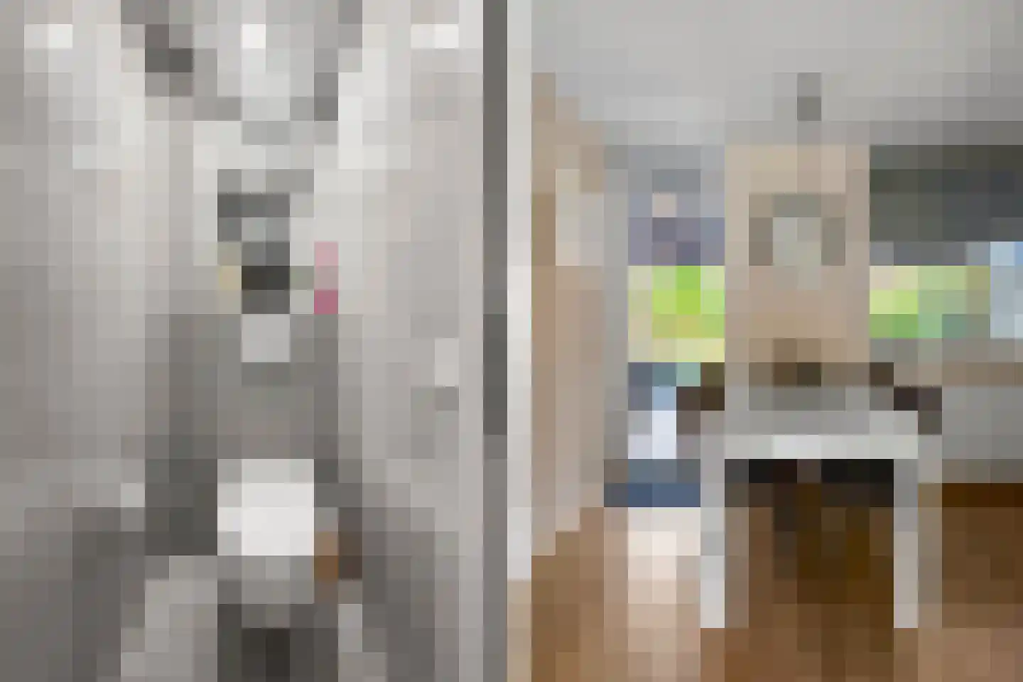 Mathaakveld 12 Houten thumbnail 12