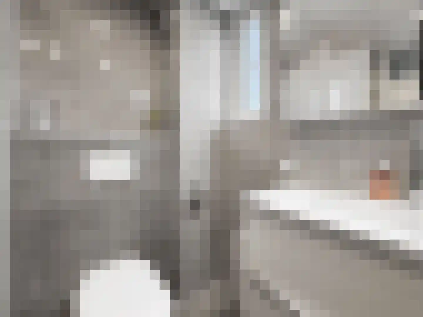 Mathaakveld 12 Houten thumbnail 17