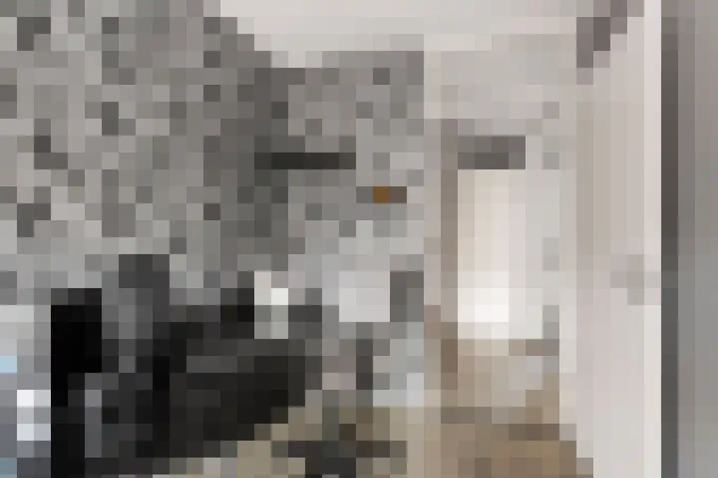 Mathaakveld 12 Houten thumbnail 19