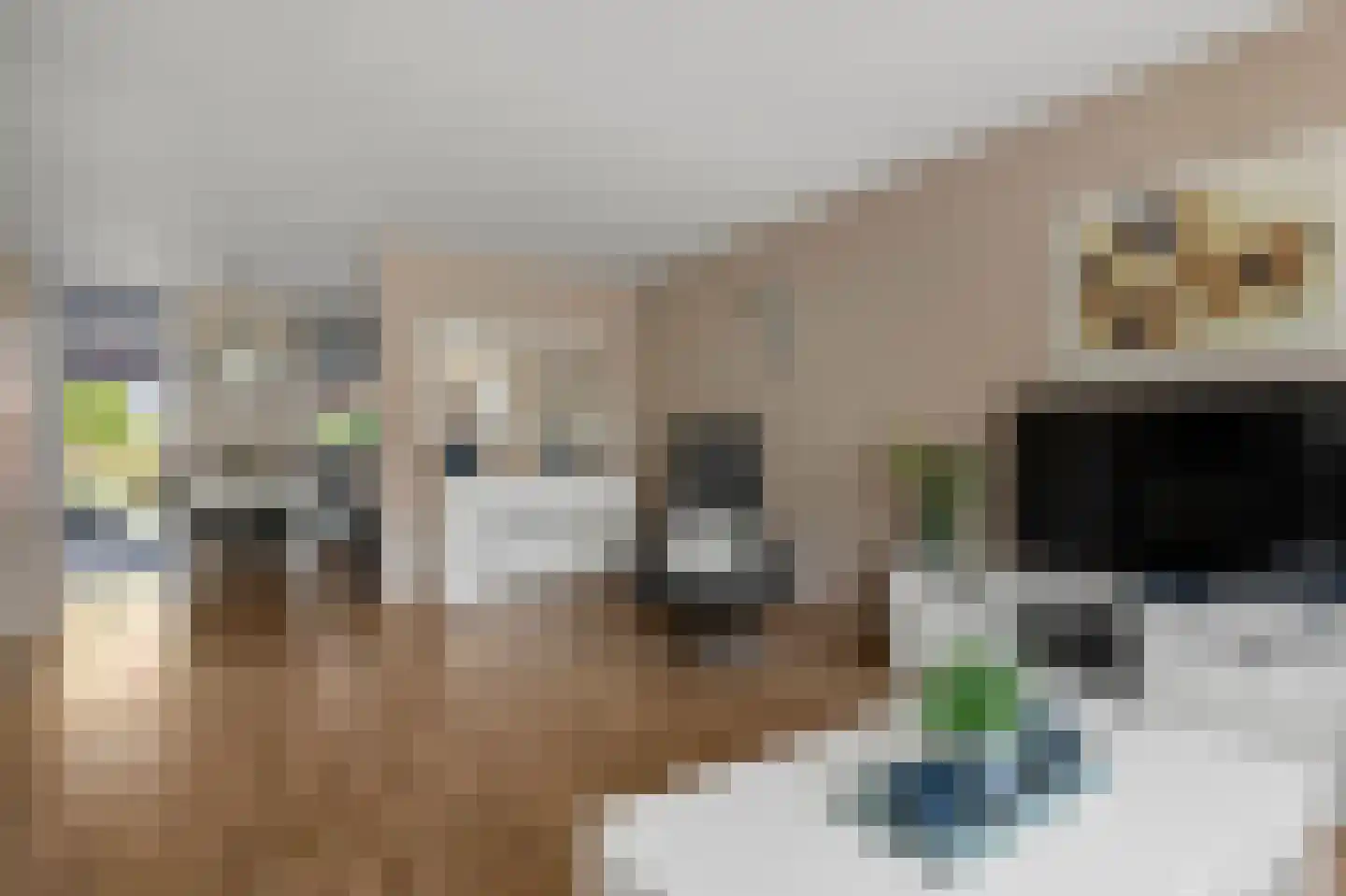 Mathaakveld 12 Houten thumbnail 6