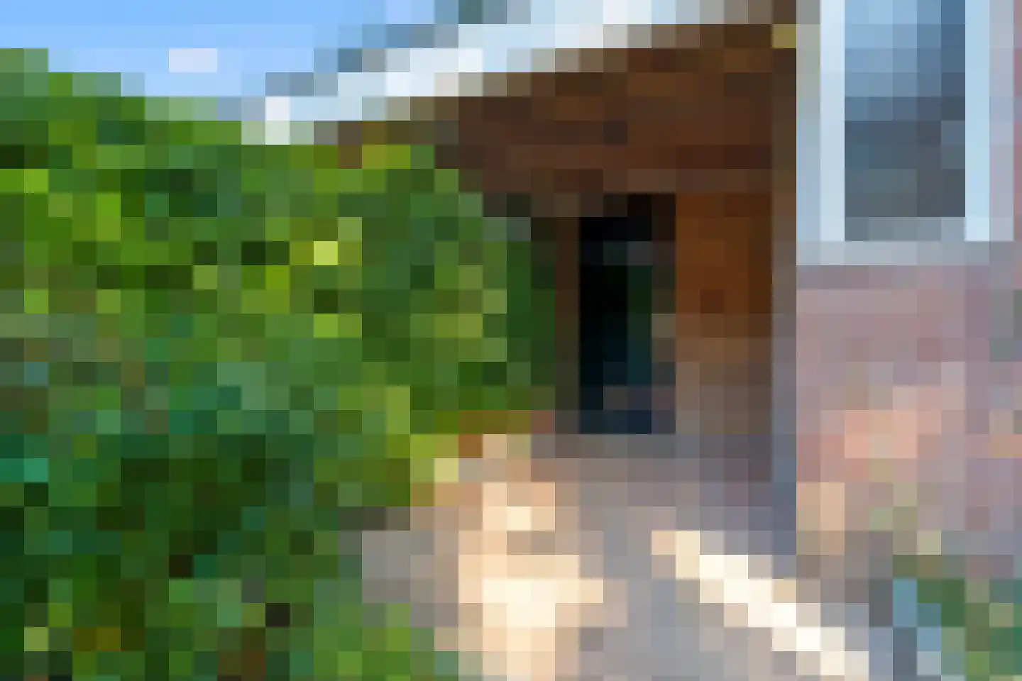 Mathaakveld 32 Houten thumbnail 20